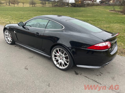 IMG 2762 (Klein) (1)