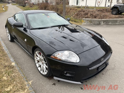 IMG 2766 (Klein) (1)