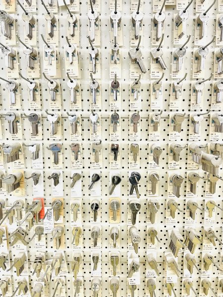 Image Manager Rex Mediapool Maximized Image00008