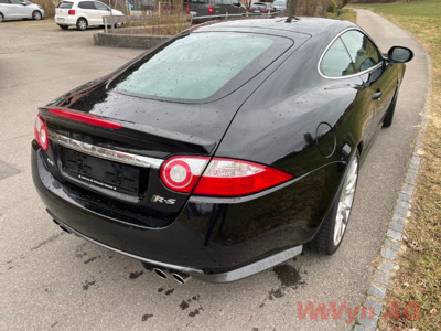 IMG 2769 (Klein) (1)