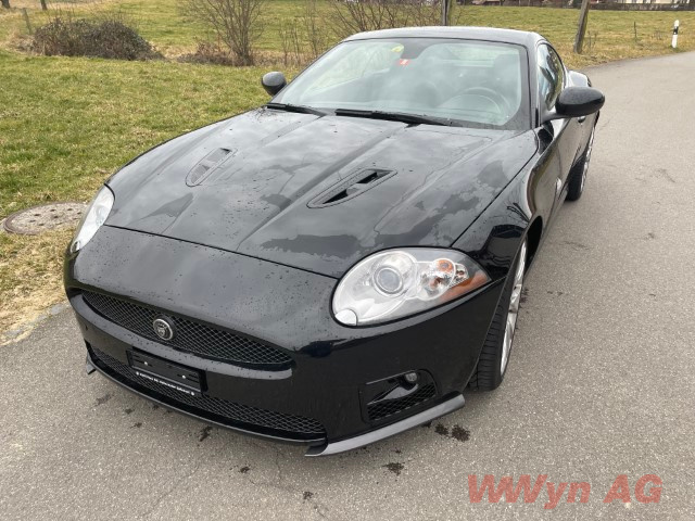 IMG 2764 (Klein) (1)