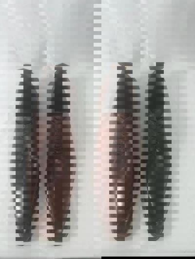 A1e15cb0 69Cb 479C 8E79 55Dd51646892