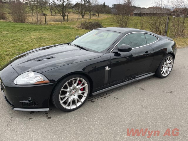 IMG 2760 (Klein) (1)