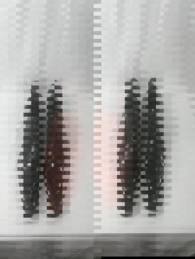 Edc0f961 9C12 4508 9B4f 998E34cb7a72